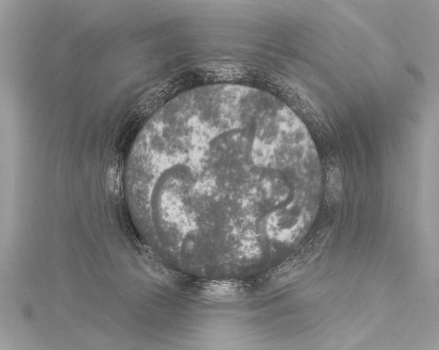 X0000114130177200911191130