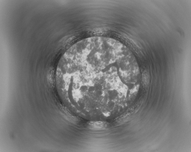 X0000114130181200911191130