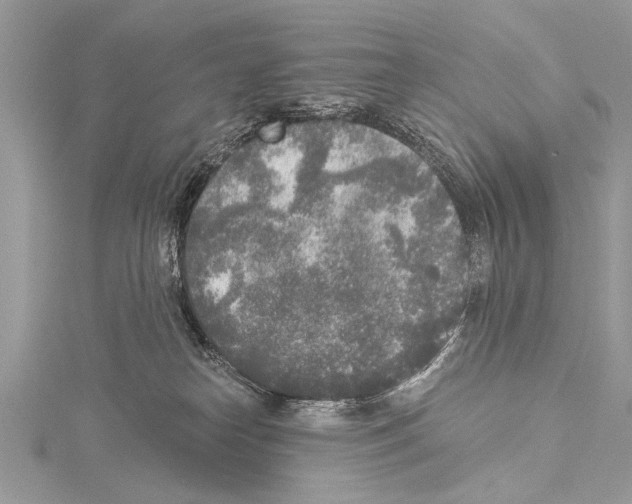 X0000114130182200911191130