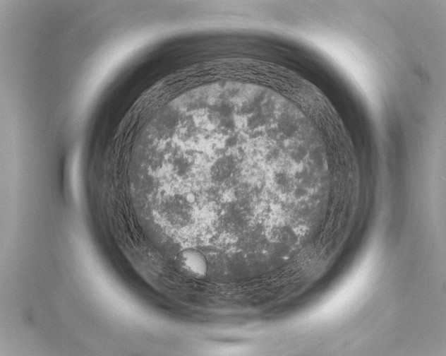 X0000114130189200911191130