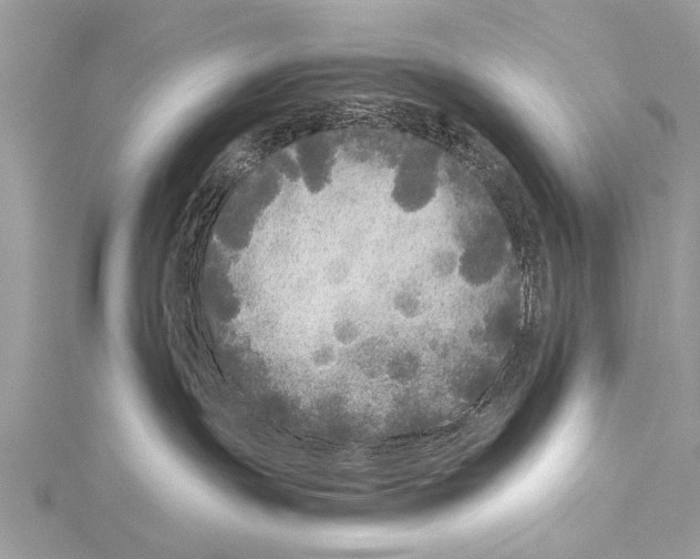 X0000114130191200911191130