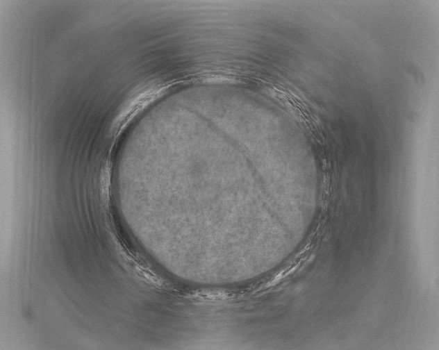 X0000114130194200911191129