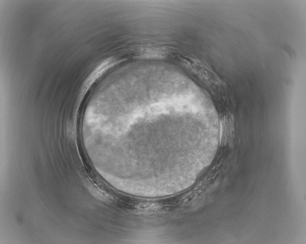 X0000114130195200911191129