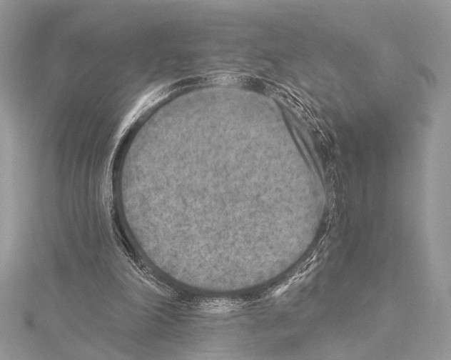 X0000114130198200911191129