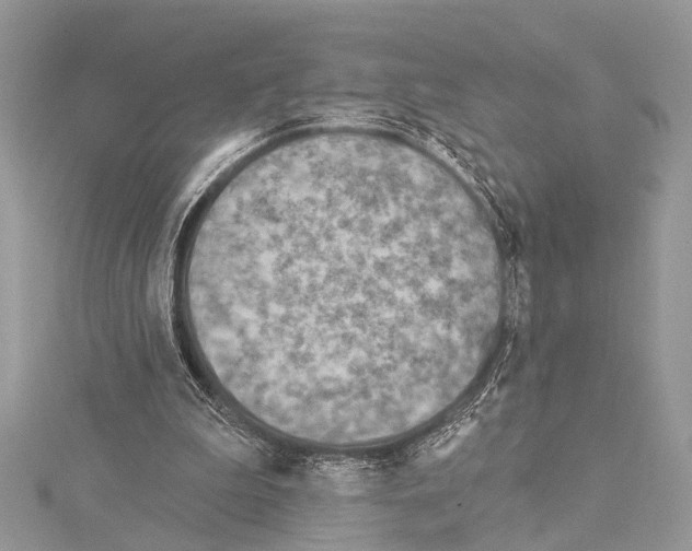 X0000114130199200911191129