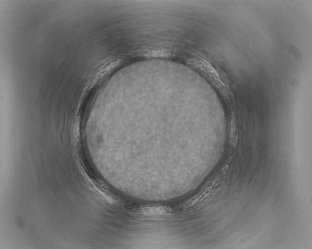 X0000114130202200911191129