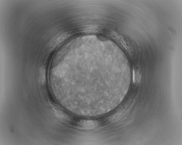 X0000114130205200911191129