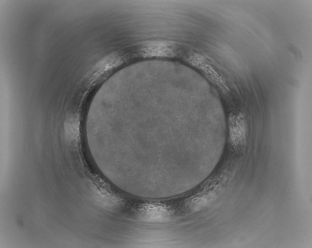 X0000114130207200911191129