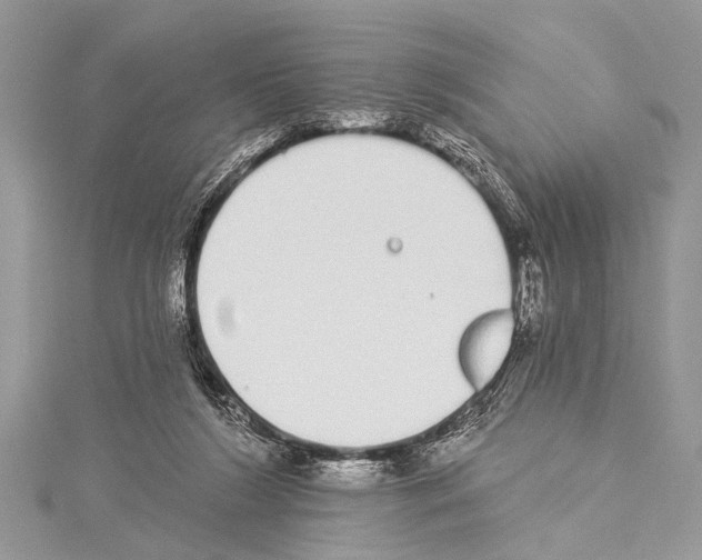 X0000114130212200911191129