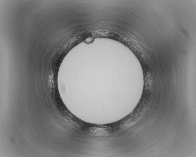 X0000114130224200911191129