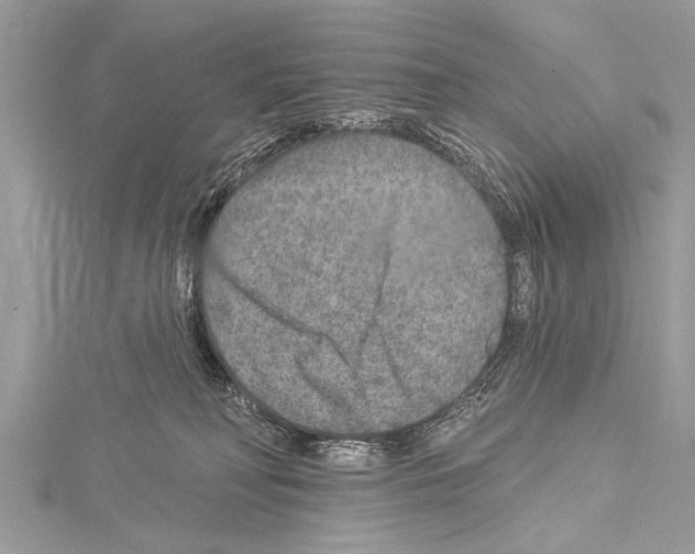 X0000114130230200911191129