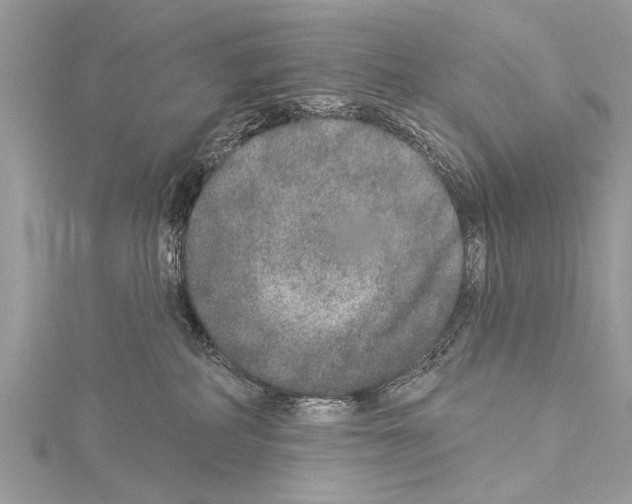 X0000114130234200911191129