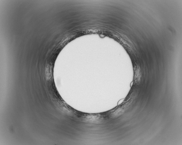 X0000114130236200911191129