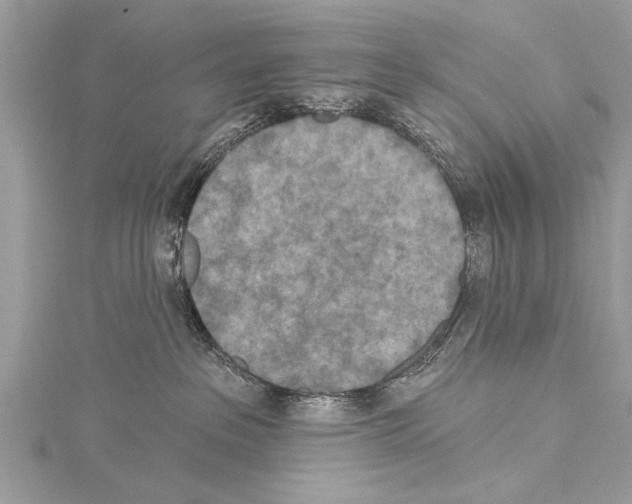 X0000114130237200911191129