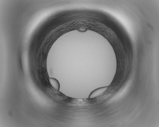 X0000114130239200911191129