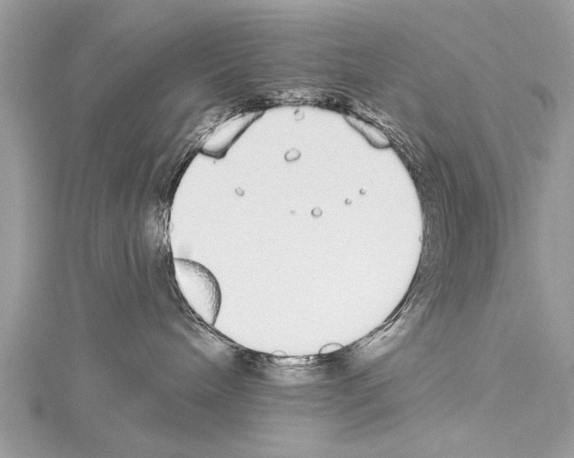 X0000114130240200911191129