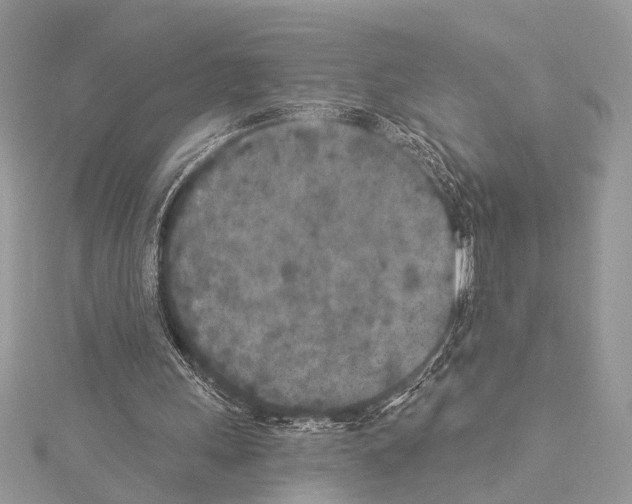 X0000114130243200911191128