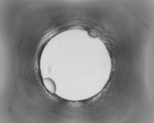 X0000114130245200911191128