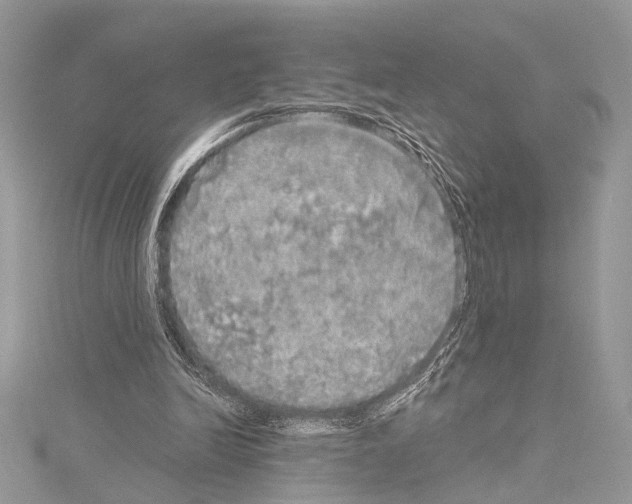 X0000114130246200911191128