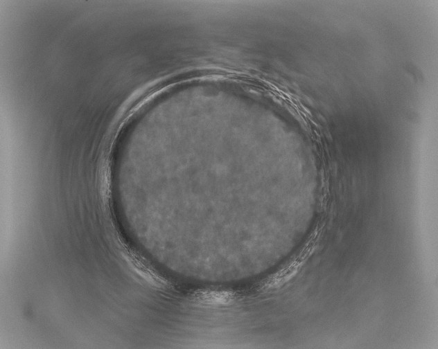 X0000114130247200911191128