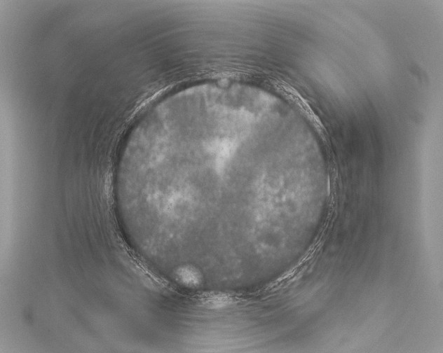 X0000114130249200911191128