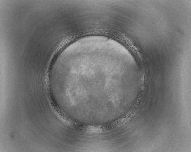 X0000114130250200911191128