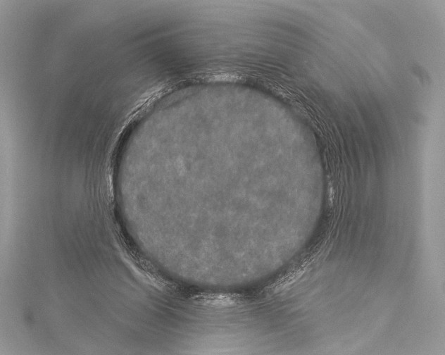 X0000114130254200911191128