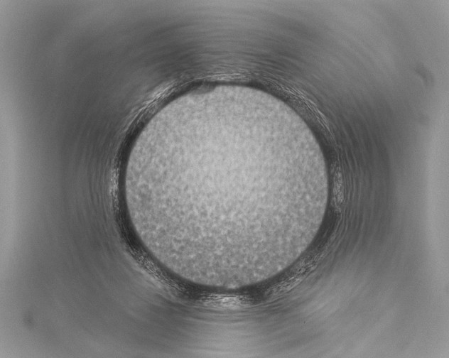 X0000114130260200911191128