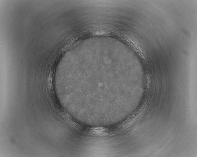 X0000114130269200911191128