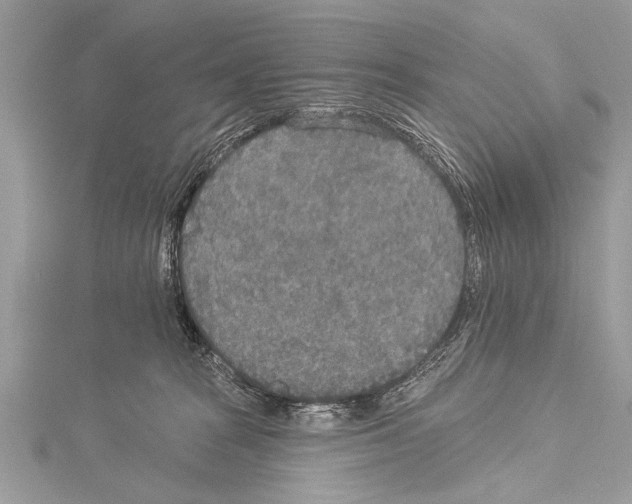 X0000114130277200911191128