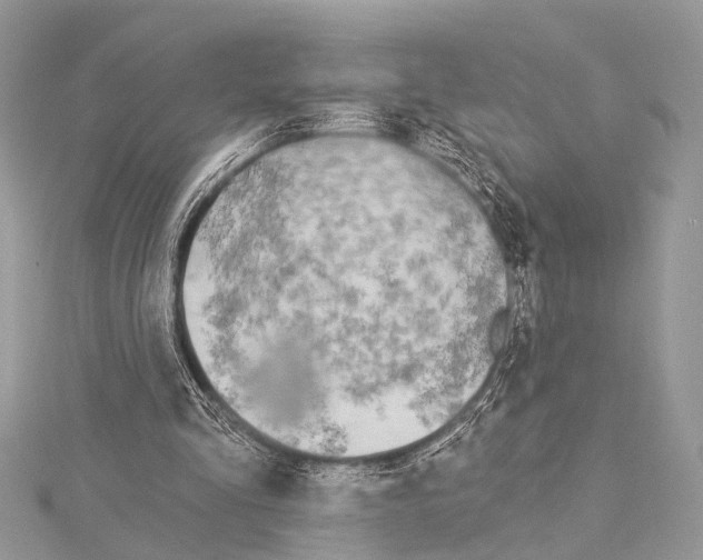 X0000114130293200911191128