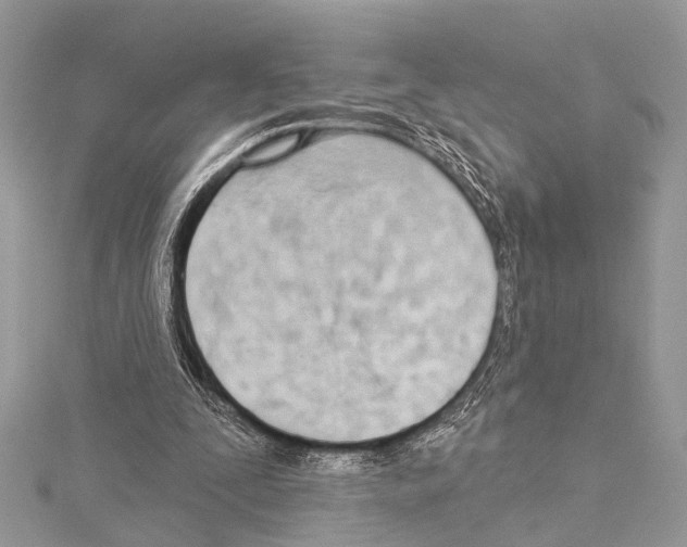 X0000114130295200911191128