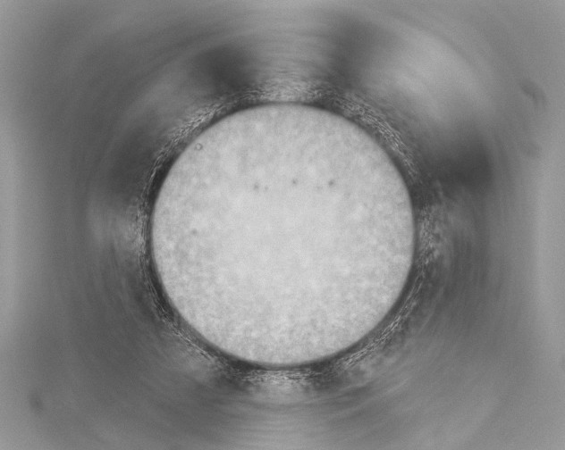 X0000114130305200911191128