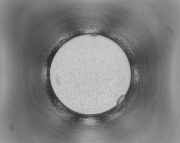 X0000114130308200911191128