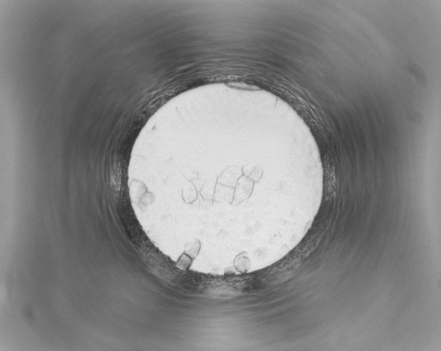 X0000114130331200911191127