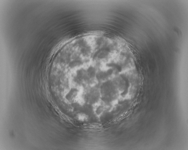 X0000114130337200911191127