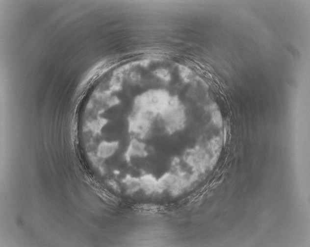 X0000114130339200911191127