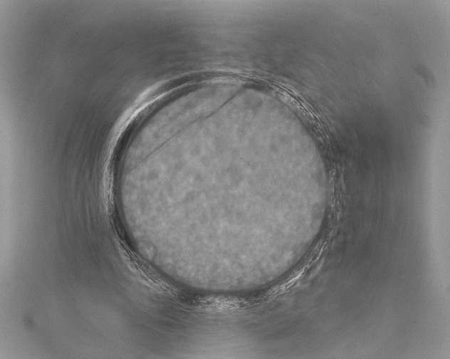 X0000114130343200911191127