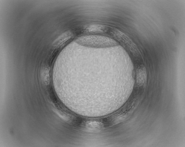 X0000114130360200911191127