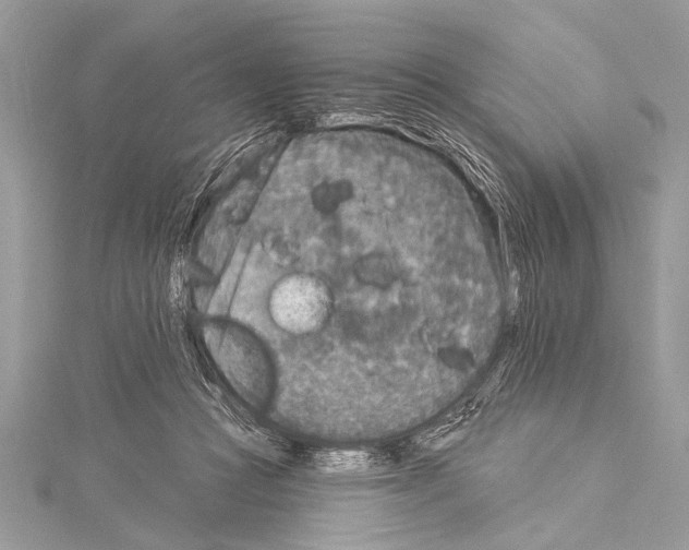 X0000114130361200911191127