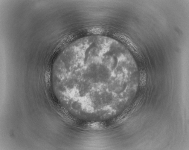 X0000114130365200911191127