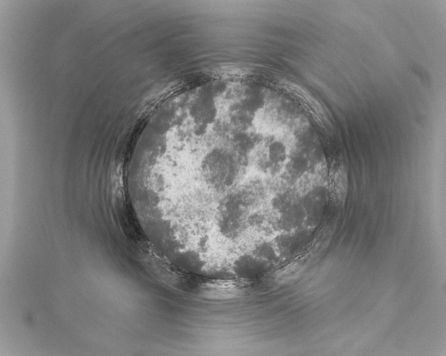 X0000114130381200911191127