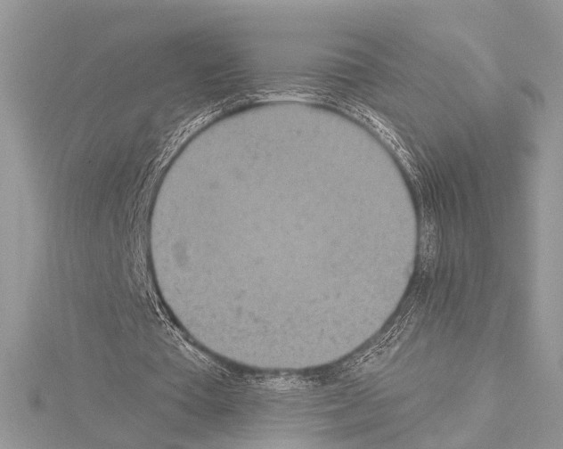 X0000114130385200911191127