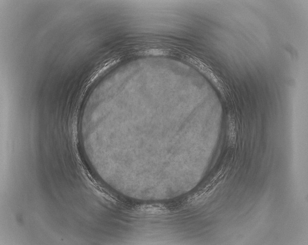 X0000114130386200911191127