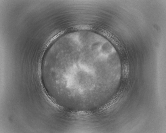 X0000114130390200911191127