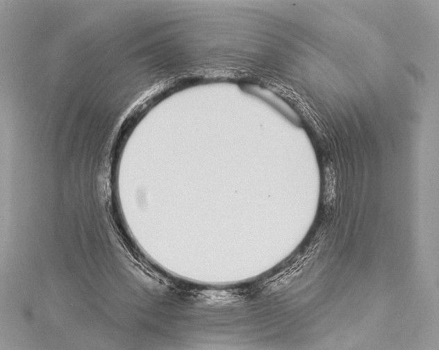 X0000114130392200911191126