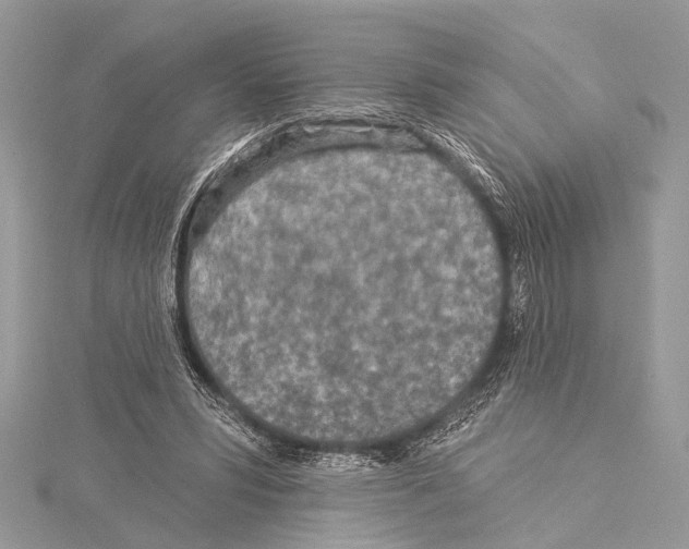 X0000114130399200911191126