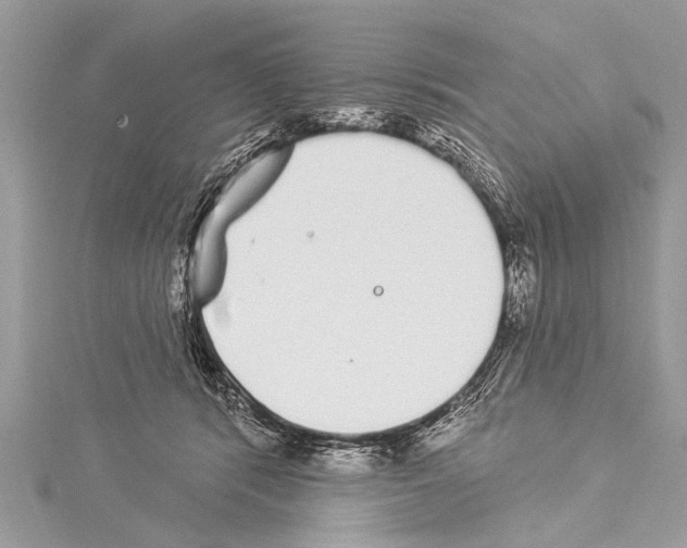 X0000114130416200911191126