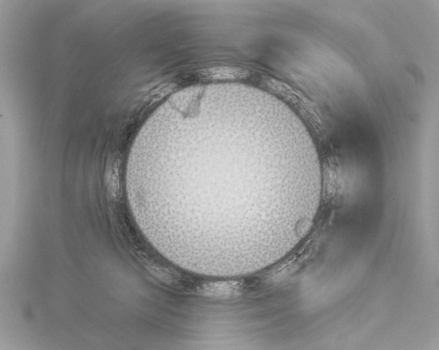 X0000114130422200911191126