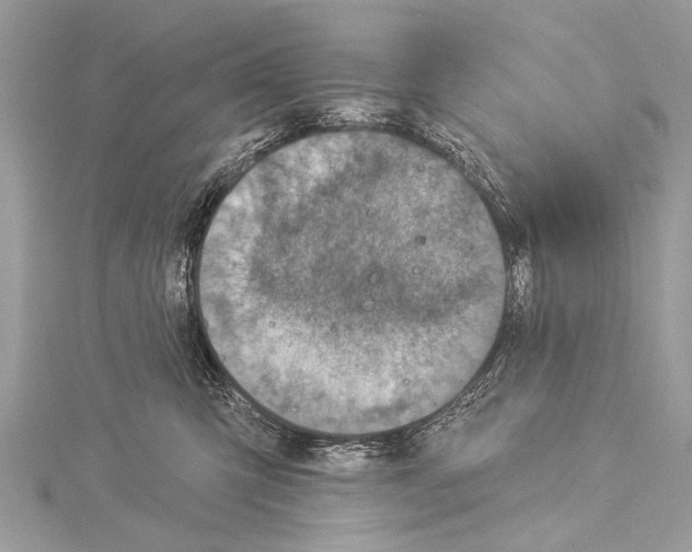 X0000114130423200911191126